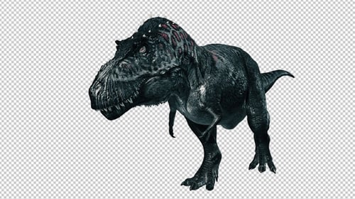 Realistic 3D Tyrannosaurus Rex Dinosaur Walking Animation