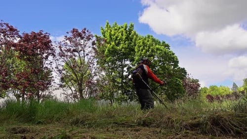 Gärtner, Mann, Rasenmäher mit Motormotor, beim Mähen von Graspflanzen