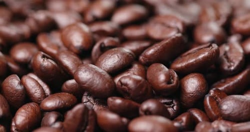 Roasted coffee bean