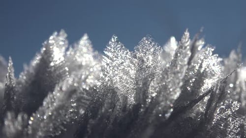 Close-Up of Glistening Ice Crystals in Winter