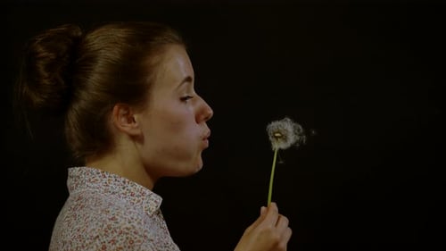 Woman blowing dandelion seeds, Ultra Slow Motion