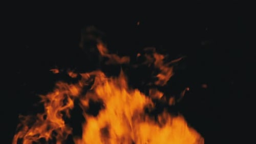 Bright Flames Flickering on a Black Background