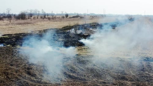 Smoke Rises From Field After Fire