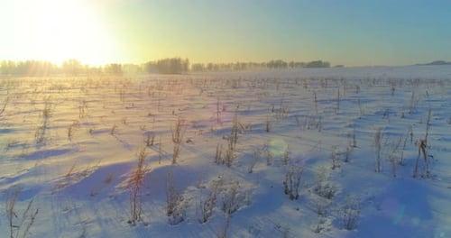 Drohnenaufnahme der kalten Winterlandschaft mit arktischen Feldbäumen, die mit Frostschnee bedeckt sind