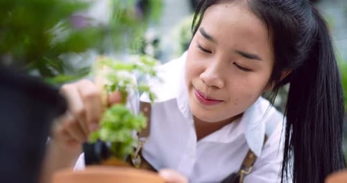 Woman shoveling a plant
