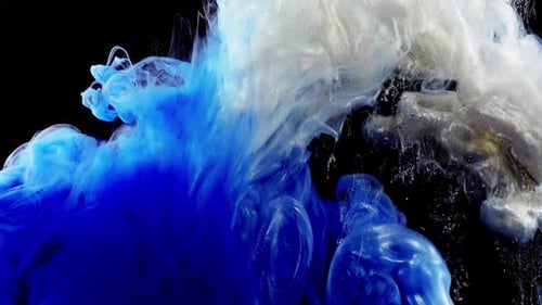 Abstract Forms