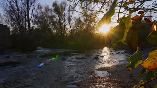 River bank at sunset, beautiful views