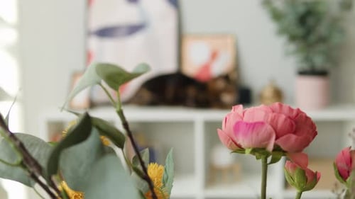 Tabby Cat Resting on Shelf in Bright Home