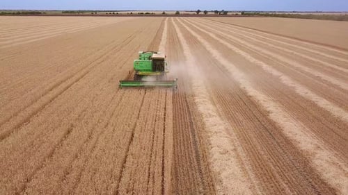 Harvester Harvests Wheat