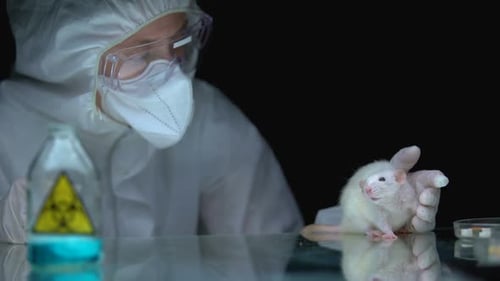 White Rat Held by Scientist in Protective Suit