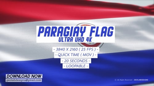 Realistic Waving Flag of Paraguay Seamless Loop
