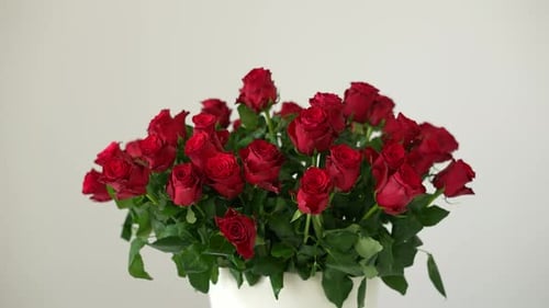 Roses in a White Vase