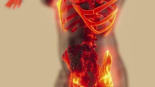Glowing Human Anatomy Scan: Medical 3D Visualization