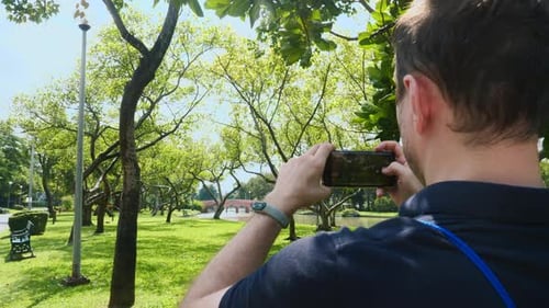 Man Taking Pictures in Lush Urban Park