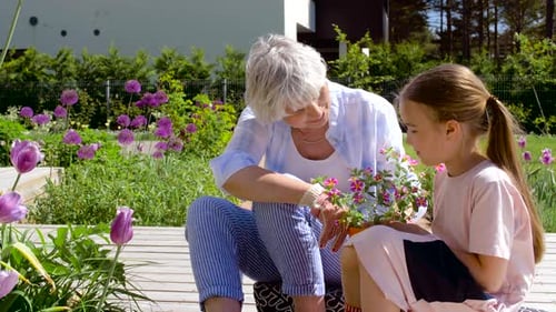 Grandmother and Girl Planting Flowers at Garden