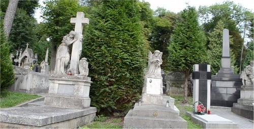 Friedhof 75
