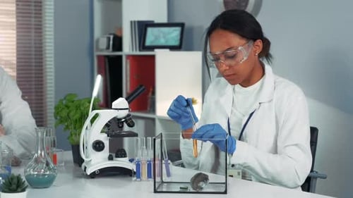 Scientist Experiments on Mouse in Laboratory