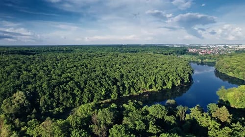 Clear Turquoise Water of Pond Surrounded By Trees and Plants
