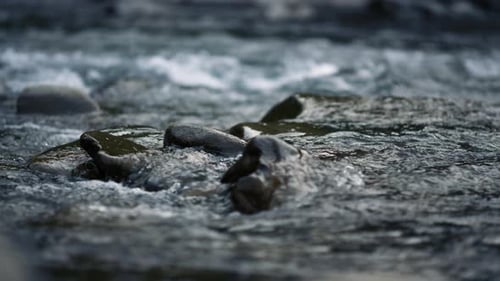 Water Flowing Over Rocks in Nature