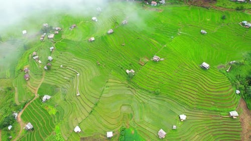 Aerial view of drones flying over rice terraces