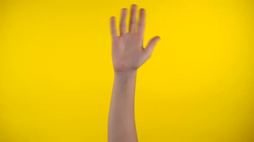 Hand Waving on Bright Yellow Background