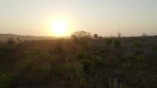 Beautiful Drone Shot of Green Fields Filled with Lush Trees and the Beautiful Sunset in Background
