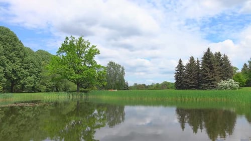 Park & Pond