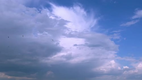 Birds Soaring Across a Blue Sky with Clouds