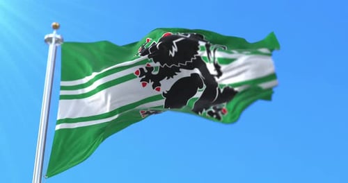 Green and White Flag With Black Heraldic Lion Waving