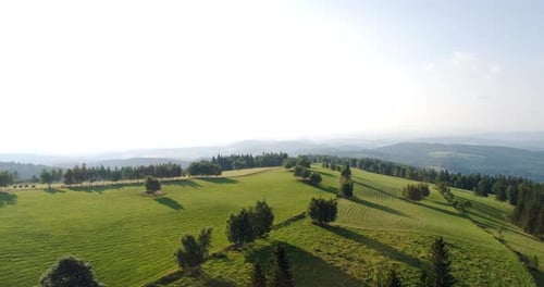 Blue Sky and Forest Drone Shot From Above