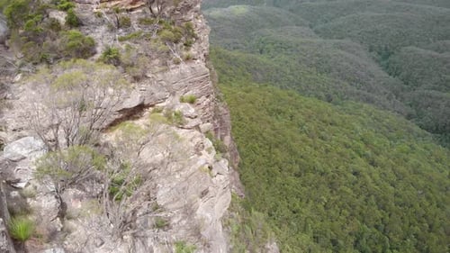 Blue Mountains National Park