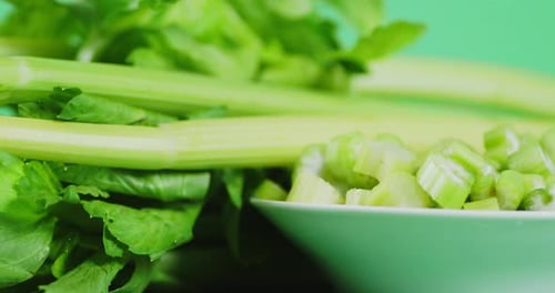 Fresh Green Celery Slowly Rotates.