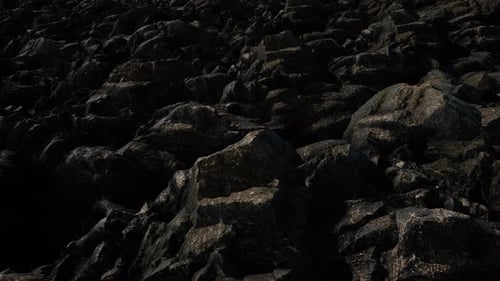 Filmmusik Grungy Dark Forest Rocks 4k