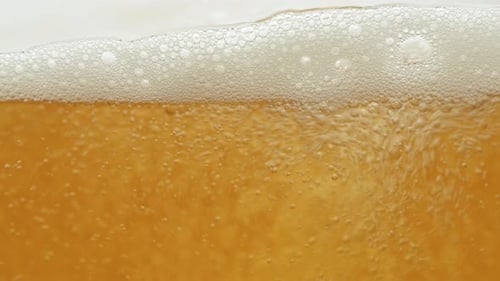 Frisches Bier sprudelt im Glas