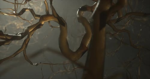 Neuronennetzwerk