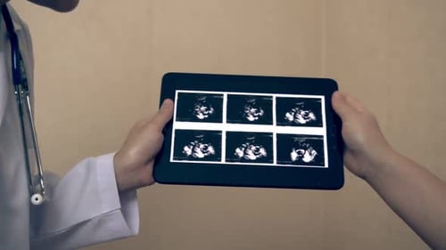 Pregnant Woman and Gynecologist Doctor at Hospital