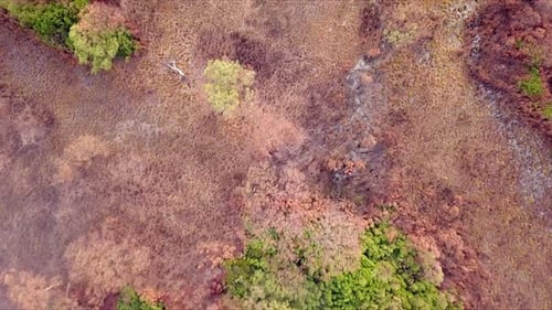 Aerial flight over green and red forest and barren grassland in Tasmania in Australia, birds eye per
