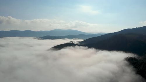 Aerial drone shot of amazing dense fog above river between mountains.