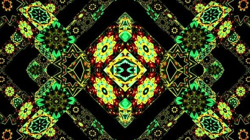Ethnische Vj-Partei