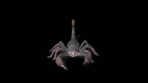 Scorpion Walk 1