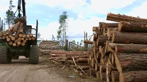 Schwerer Hubkran, der Holzscheite schneidet. Verladen von Holz. Loader bei der Arbeit