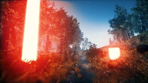 Glowing Sci-Fi Light Pillars Animation in a Mysterious Forest