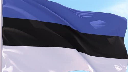 Estonian National Flag Waving in Realistic Blue Sky