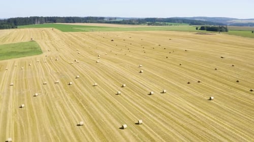 Aerial Drone Shot a Field with Hay Bales in a Rural Area on a Sunny Day