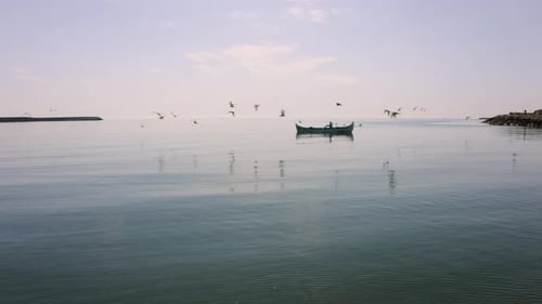 Bateaux de pêche rentrant au port entourés de mouettes.