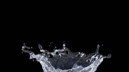 Crown Splash