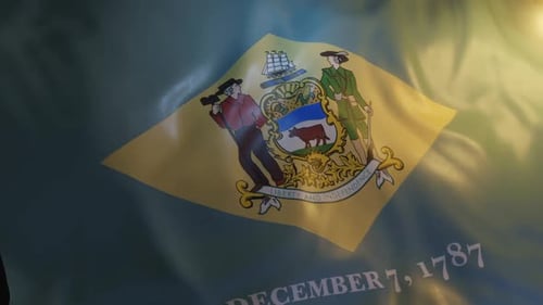 Delaware State Flagge