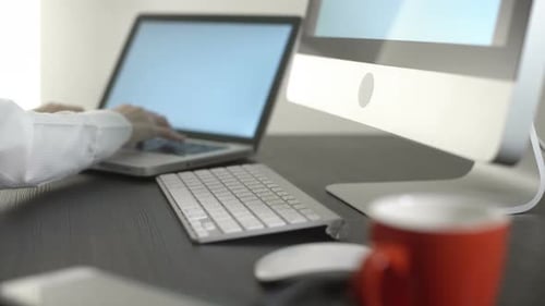 Business Woman Working With Computer In Office