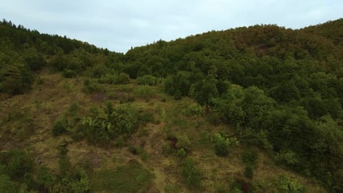 Steep green mountains, deep forest and mountain road, beautiful valley