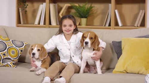 Happy Girl Cuddling with Two Beagles on Couch